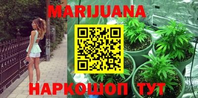 шишки Ставрополь
