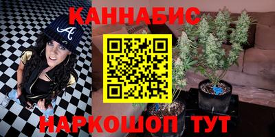 шишки Ставрополь
