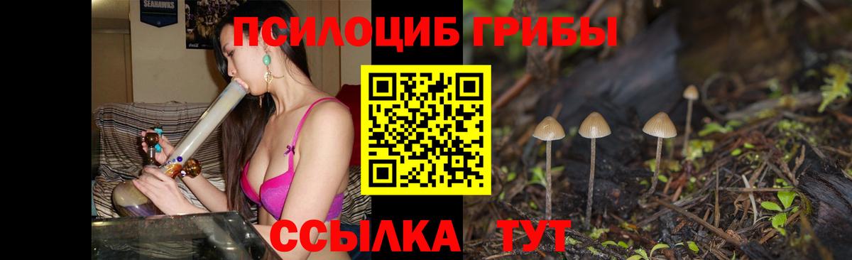 сколько стоит  Вход с VPN  Новочеркасск  Галлюциногенные грибы MAGIC MUSHROOMS 